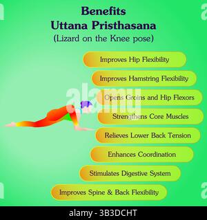 Benefits of practicing Uttana Pristhasana yoga pose. Lizard on the Knee yoga pose. Intermediate Difficulty. Isolated vector illustration Stock Vector