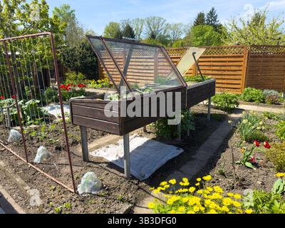 Garden with colorful flowers and wooden cold frame in spring Stock Photo