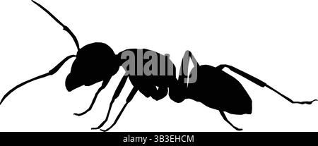 Black Silhouette of an Ant in Side View Stock Vector