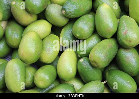 Close-up showcases a fresh pile of lemons, displaying vibrant green tones and juicy textures perfect for food illustrations or healthy diet. Stock Photo