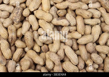 Close-up, full frame view of raw peanuts in their shells shows natural textures and forms a pattern. Healthy, raw, vegetarian, and organic food concep Stock Photo