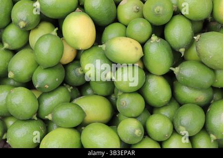 Fresh, vibrant heap of whole, unripe green limes filling the frame. Captures the juicy, natural look of colorful citrus fruit in a close-up shot. Stock Photo
