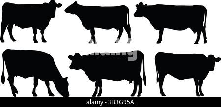 Set of cow silhouettes in different standing and grazing poses, vector illustration Stock Vector