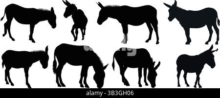 Detailed Set of Galloping and Walking Horse and Foal Silhouettes Illustrating Equine Grace Stock Vector