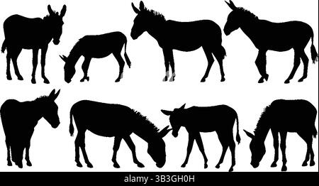Detailed Set of Galloping and Walking Horse and Foal Silhouettes Illustrating Stock Vector