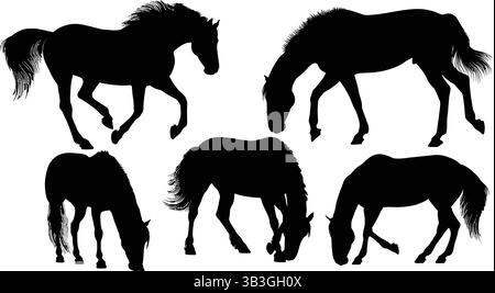Set of Galloping and Walking Horse and Foal Silhouettes Illustrating Equine Grace Stock Vector