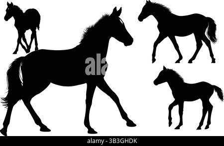 Detailed Set of Galloping and Walking Horse and Foal Silhouettes Illustrating Equine Grace Stock Vector