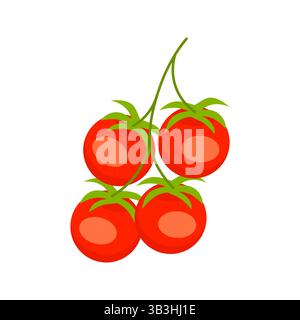 Bunch of ripe red cherry tomatoes hanging on the vine Stock Vector