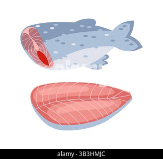 Fresh salmon steak and whole fish showing red meat Stock Vector