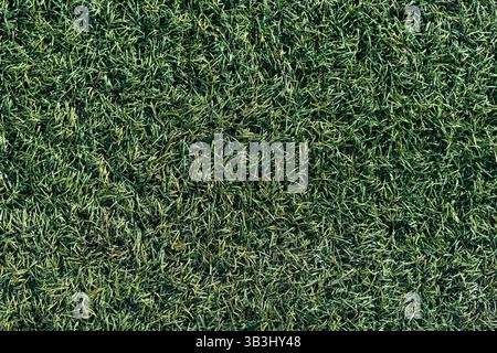 Artificial green lawn, top view Stock Photo