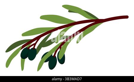 Olive Branch with Leaves and Ripe Black Olives Isolated on White Background. Short sprigs with leaves. Minimalist Nature Illustration Stock Vector