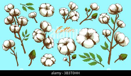 Organic cotton plant illustration. Hand drawn line wedding herb, elegant leaves and badges logo template. Vintage stamp labels for tag. Line and Ink Stock Vector