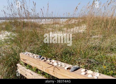 Coastal landscape featuring seashells on a wooden railing, near sand dunes and grass, with the ocean in the background. The serene atmosphere Stock Photo