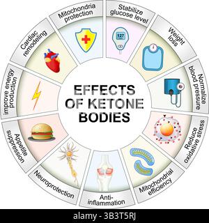 How ketone bodies and the ketogenic diet influence human health and Mitochondria. Vector illustration. Medical poster. Schematic diagram Stock Vector