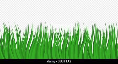 Green vector grass on transparent background Stock Vector