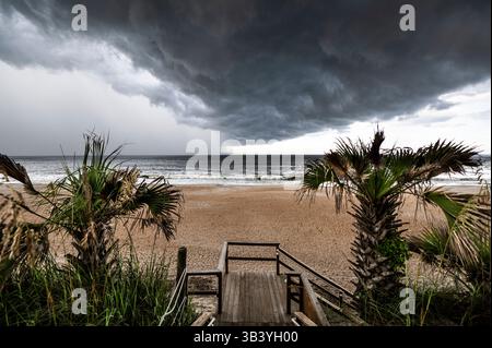 Dramatic Cloudy Sky Over a Coastal Beach with Palm Trees Stock Photo