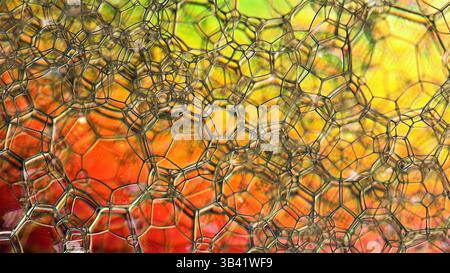 Soap bubbles. Stock Photo