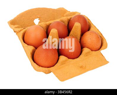 Box of six free range chestnut brown hens eggs isolated on a white background Stock Photo
