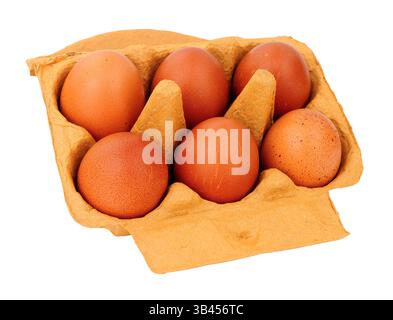 Box of six free range chestnut brown hens eggs isolated on a white background Stock Photo