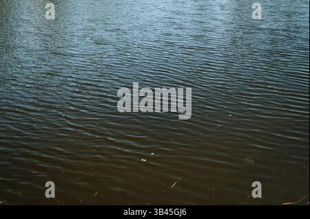 Small ripples on the river. High quality photo Stock Photo