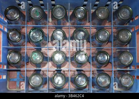 An overhead shot of numerous clear, empty glass bottles with dark rims stored upside-down inside a compartmentalized light blue plastic crate. Stock Photo
