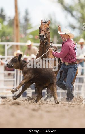 July 26, 2015 - Cheyenne, WY, United States of America - Bareback rider ...