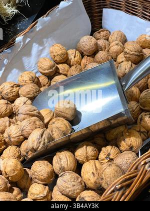 Walnuts. Stock Photo
