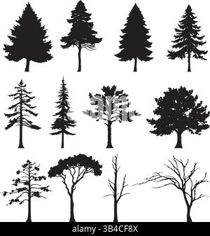 Tree Silhouette Collection – Black and White Vector Illustrations of Diverse Botanical Tree Shapes and Forest Elements Stock Vector