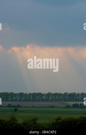 Landscape late afternoon south downs England UK sun beams peeking out from behind clouds streaking pinkish light onto row of trees and farm land below Stock Photo