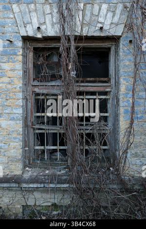 A haunting image of an old barred window set into a weathered brick wall. The rusted metal frame and prison-style grating are partially covered in cre Stock Photo