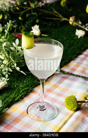 Cucumber-Rolled Sparkling Cocktail on Plaid Stock Photo