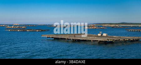 Mussel Aquaculture Rafts Batea, Mussel Growing Sea Platform, Batea Mussel Farms, Ría de Arousa, Arousa Estuary, Pontevedra, Galicia, Spain, Europe Stock Photo