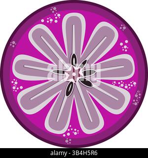 Star apple slice tropical fruit vector illustration Stock Vector