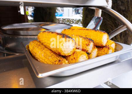 Close-up of several grilled corn on the cob in a metal tray. Charred kernels and vibrant yellow color are visible Stock Photo