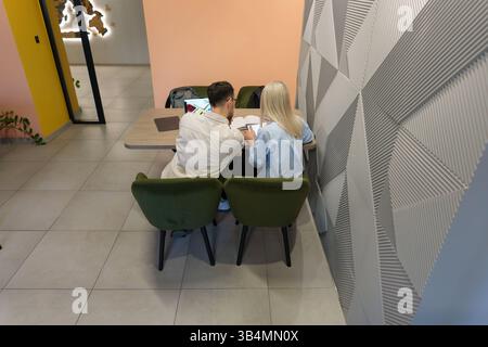 Two individuals working collaboratively on a project in a stylish modern interior Stock Photo