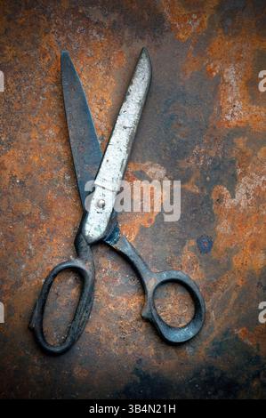 rusting pair of old scissors, lying on rustin metal plate, Stock Photo