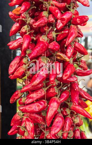 Dry red chili pepper strung on a rope, white isolated background Stock ...