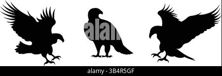 Eagle Silhouette Set with Various Poses Stock Vector