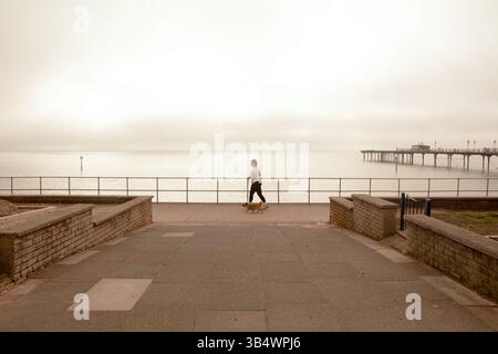 Woman dog walking on the seafront with Teignmouth Pier in the background in Teignmouth, Devon, England Stock Photo