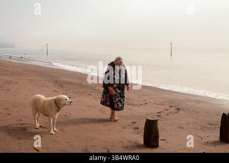 Woman in a dry robe after sea-swimming walking with a very wet labrador dog on Teignmouth beach, Devon, England Stock Photo