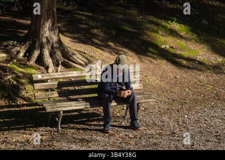 Elderly man sitting alone on a wooden bench in forest park, thoughtful and reflective atmosphere Stock Photo