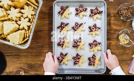 Chocolate Dipped Reindeer Cookies on Baking Sheet Stock Photo
