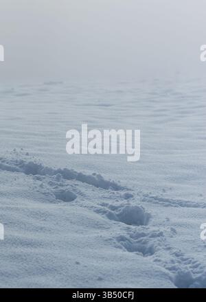 Texture, snow cover, surface, with traces of a blizzard, shallow depth ...