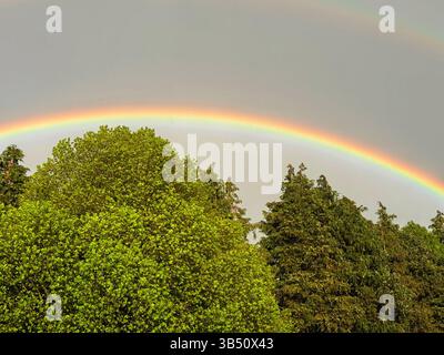 Rainbow over mixed woodland, Wales. Stock Photo