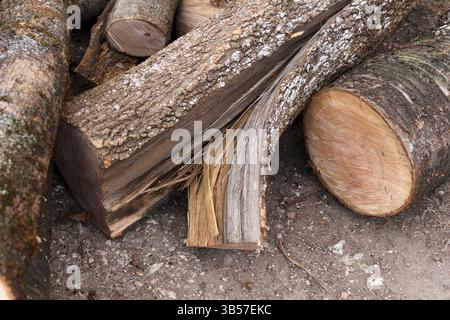 Split and cut tree logs with rough bark and exposed wood fibers lying on a textured outdoor surface, showcasing natural wood textures and patterns Stock Photo