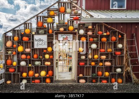 Pumpkin display. Stock Photo
