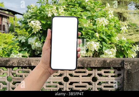 Woman hand holds modern white screen smartphone on floral and old brick wall background. Room for text. Stock Photo