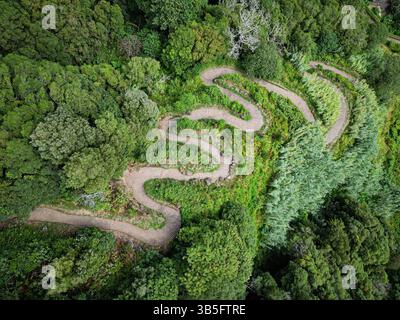 Aerial view of a zigzag road winding through a dense green forest with ...
