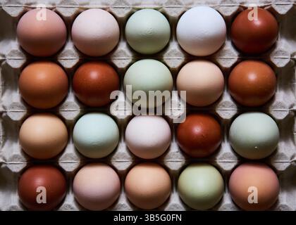 Farm natural chicken eggs in a cardboard box Stock Photo