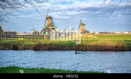 Two of the Zaandijk windmills near Amsterdam, Netherlands, taken at the end of a sunny winter day with no people Stock Photo